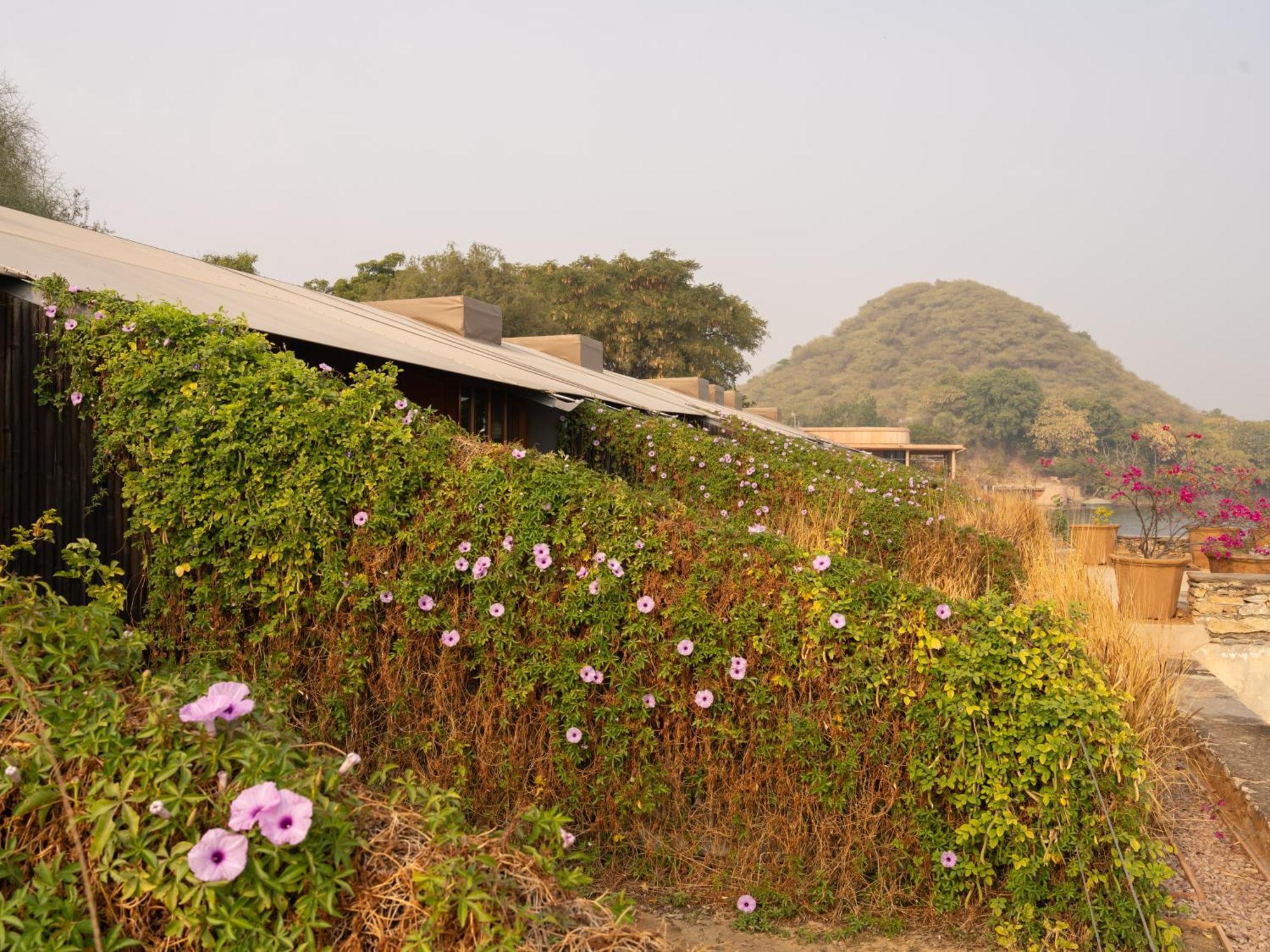 Raas Chhatrasagar, Nimaj, District Pali Exterior foto